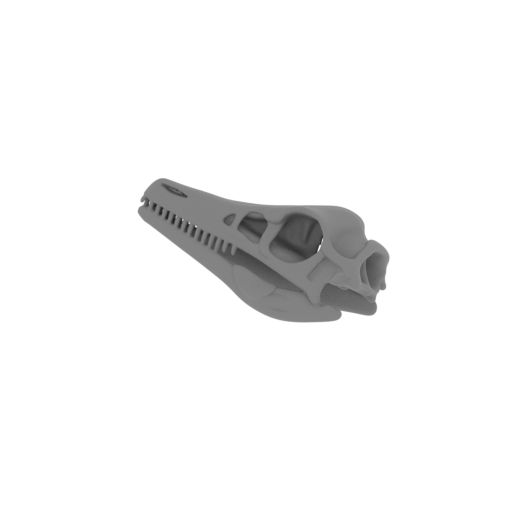 Arcusaurus Skull.stl
