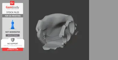 Ardetosaurus Skull - Skull Replica STL