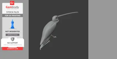 American white ibis - Prehistoric Animal STL
