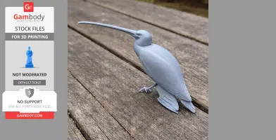 American white ibis - Prehistoric Animal STL