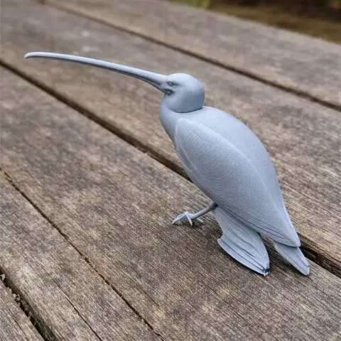 American white ibis - Prehistoric Animal STL