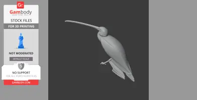 American white ibis - Prehistoric Animal STL
