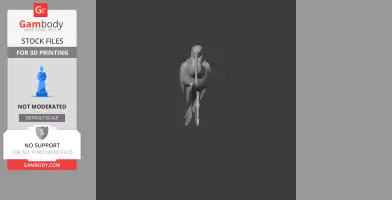 American white ibis - Prehistoric Animal STL