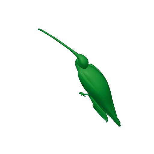 American white ibis.3mf