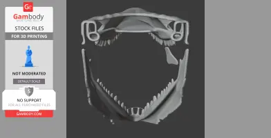 Arenysaurus Skull - Skull Replica STL
