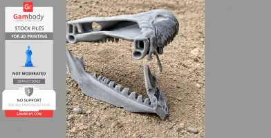 Arenysaurus Skull - Skull Replica STL