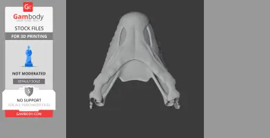 Arenysaurus Skull - Skull Replica STL