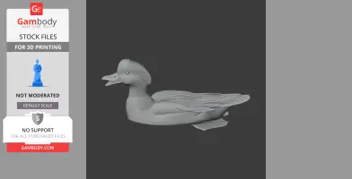 3D model of an American wigeon, with detailed features, suitable for 3D printing.