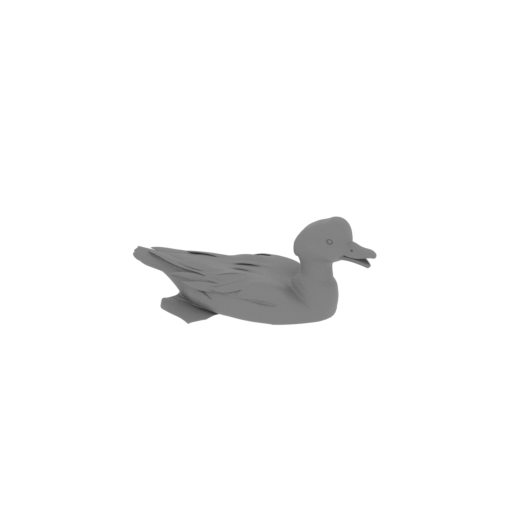 American wigeon.stl