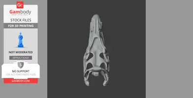 Aristosaurus Skull - Skull Replica STL