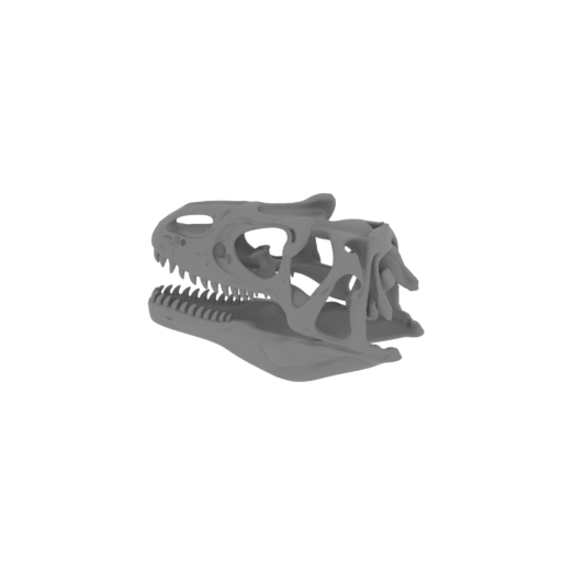 Aristosaurus Skull.stl
