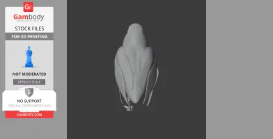American woodcock - Prehistoric Animal STL