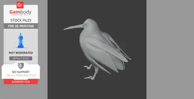 American woodcock - Prehistoric Animal STL