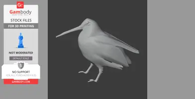 American woodcock - Prehistoric Animal STL
