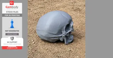 Aristosuchus Skull - Skull Replica STL