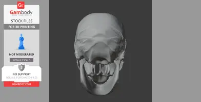 Aristosuchus Skull - Skull Replica STL