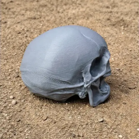 Aristosuchus Skull - Skull Replica STL