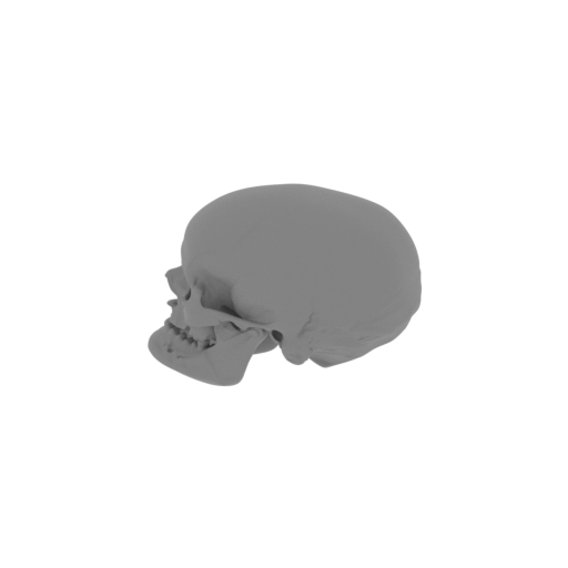 Aristosuchus Skull.stl