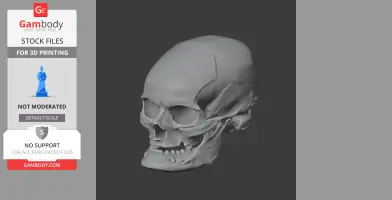 Aristosuchus Skull - Skull Replica STL