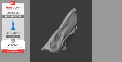 Astrodon Skull - Skull Replica STL