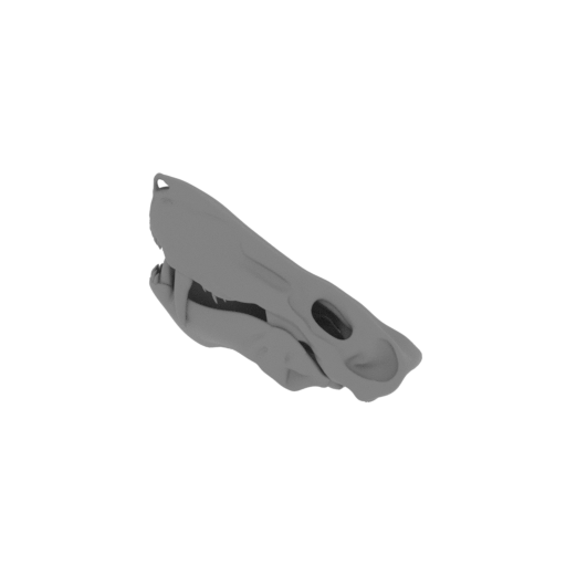 Astrodon Skull.stl