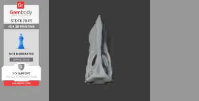 Astrodon Skull - Skull Replica STL