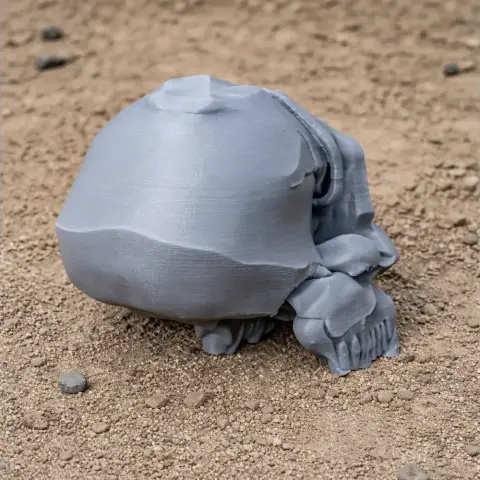 3D-printed Astrodonius skull replica on sandy ground, showcasing intricate details.