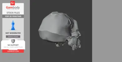 Astrodonius Skull - Skull Replica STL