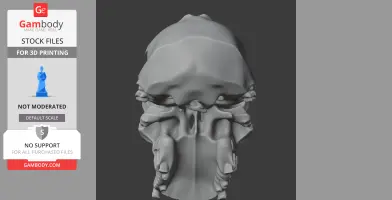 Astrodonius Skull - Skull Replica STL