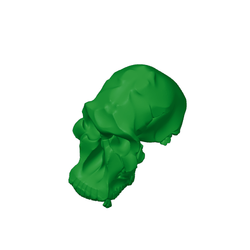 Astrodonius Skull.3mf