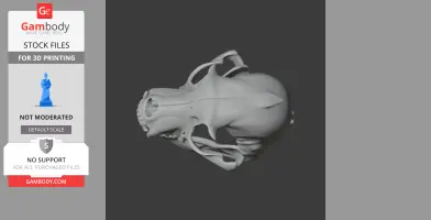 Athenar Skull - Skull Replica STL