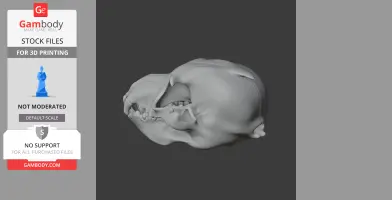 Athenar Skull - Skull Replica STL