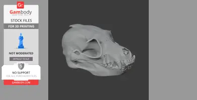 Athenar Skull - Skull Replica STL