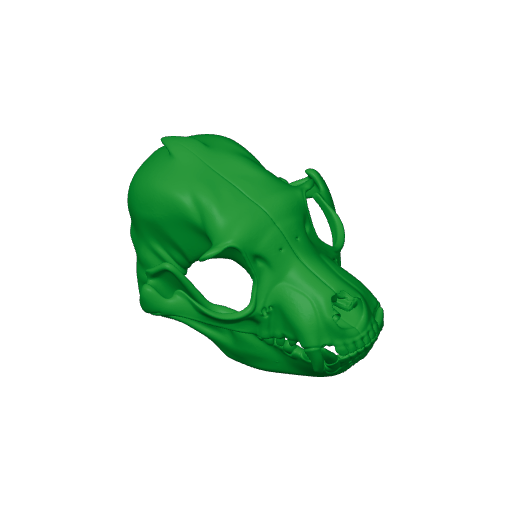 Athenar Skull.3mf