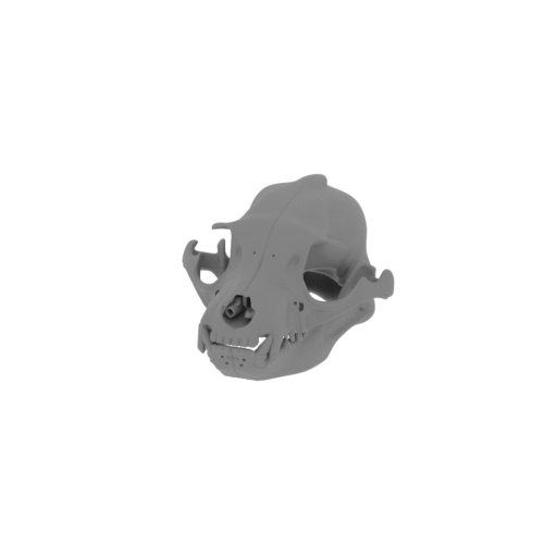 Athenar Skull.stl