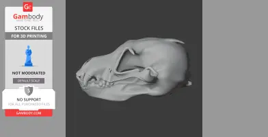 Athenar Skull - Skull Replica STL