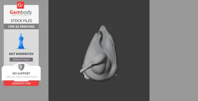 Amsterdam albatross - Prehistoric Animal STL
