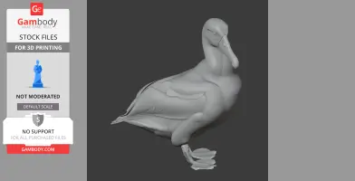 Amsterdam albatross - Prehistoric Animal STL