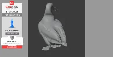 Amsterdam albatross - Prehistoric Animal STL