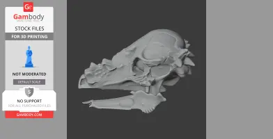 Auroraceratops Skull - Skull Replica STL
