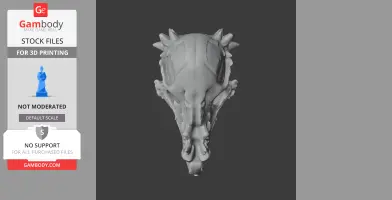 Auroraceratops Skull - Skull Replica STL