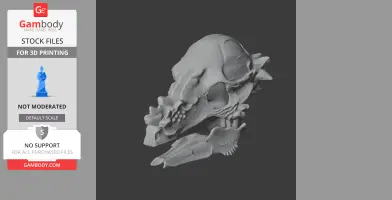 Auroraceratops Skull - Skull Replica STL