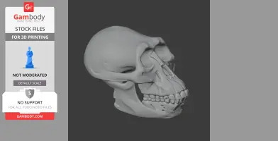 3D model of an Australodocus skull, side view, showing detailed bone structure and teeth for printing.