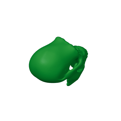 Australodocus Skull.3mf