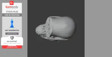 3D model of an Australodocus skull viewed from the side, showing its detailed structure for printing.