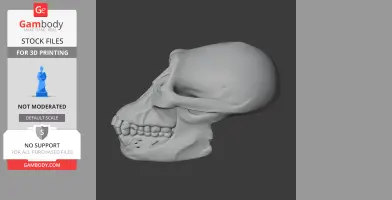 3D model of an Australodocus skull, showing detailed bone structure for 3D printing.