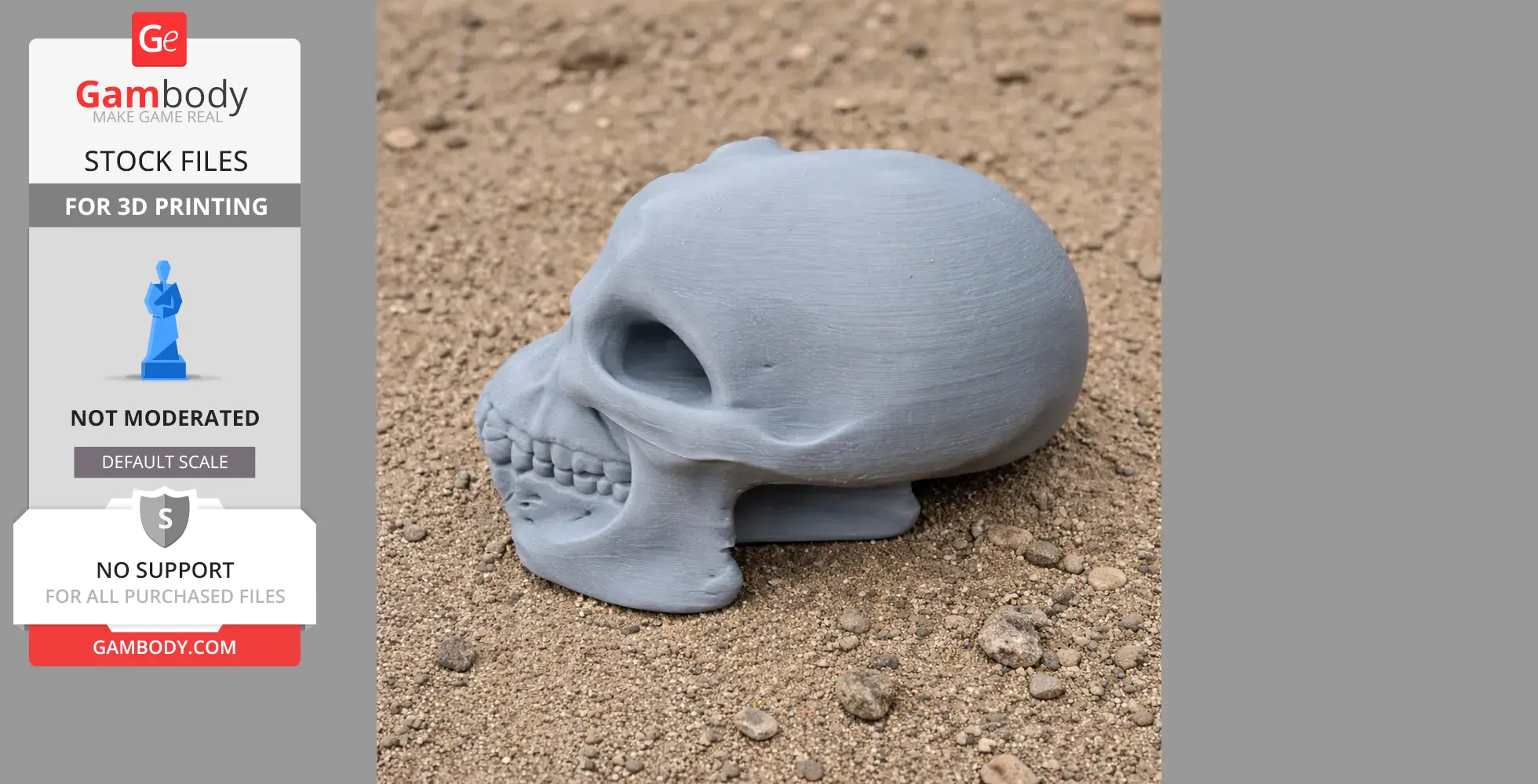 3D printed Australodocus skull replica resting on sandy ground.