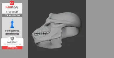 3D model of an Australodocus skull, side view, for 3D printing.
