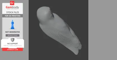 Andaman boobook - Prehistoric Animal STL