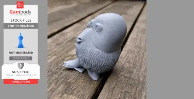 Andaman boobook - Prehistoric Animal STL